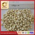 Hot Sale Blanched Peanut Kernels From Shandong China